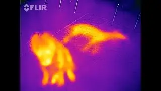 тепловизор flir one gen3 (матрица 80*60)+наложение контуров второй камеры телефона(флир ВАН ген 3)