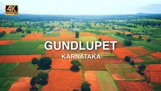 Flower pot of india | Visit Gundlupet Sunflower Fields