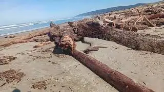 Florence Oregon. 
