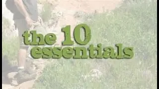 10 Essential Health and Safety Tips for Your Workplace | Improve Workplace Safety Today!