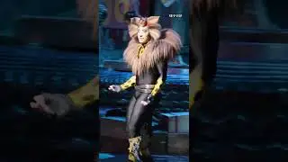 😺뮤지컬 캣츠 커튼콜 대구 소리질러 !!! #shorts
