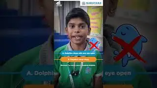 Dolphins never sleep? #FindTheFact | Narayana Schools