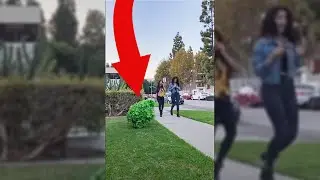 HILARIOUS SCARE PRANK DRESSED AS A BUSH! - #shorts
