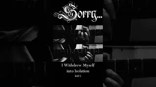 Sorry... - I Withdrew Myself into Isolation (Guitar Riffs) #shorts #blackmetal #guitar #dsbm