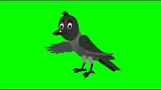 Gori kawi| talking silent flying |all pose|green screen| no copyright| #greenscreen#nocopyright crow
