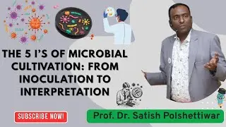 The 5 I&rsquo;s of Microbial Cultivation: From Inoculation to Interpretation