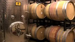 Bluemont Vineyard - Loudoun, Virginia