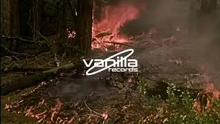 Vanilla Records Full Length