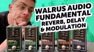 Walrus Audio Fundamental Delay, Reverb, Phaser, Tremolo & Chorus - Sound Demo