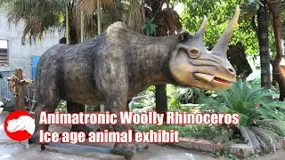 Prehistoric Woolly Rhinoceros Exhibit, Ice Age Animal Model