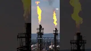 How Big Oil lobbies keep the fossil fuel industry booming&nbsp;| DW News