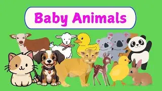 Animals and Their Babies  |  kids Vocabulary  |  Easy English for Kids
