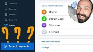 How To Integrate Crypto eCommerce WITHOUT CODING 🤑