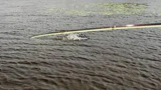 Fly Fishing for Giant Pike - Northern Saskatchewan - Scott Lake Lodge