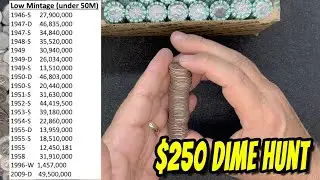 What it's like to hunt a $250 Dime box for SILVER!