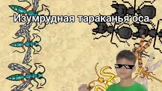 Новый ивент с изумрудной асой забираем осу