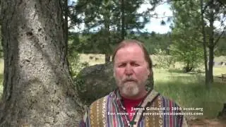 ECETI 2016 UPDATE, Eleven D Beings, Crafts, Witnesses and more