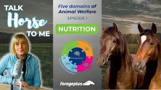 The Five Domains of Horse Welfare &ndash; Why Nutrition Comes First | Talk Horse To Me Podcast
