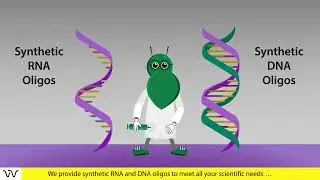 Custom oligonucleotide synthesis | 30 years of experience | Dharmacon&trade; reagents