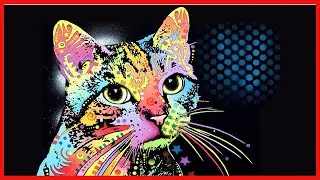 Drymate Pet Placemat, Dean Russo Designs, Dog Food Mat, Cat Food Mat, Zorb-Tech Anti Flow Technology