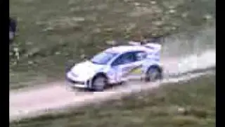 pucci grossi al rally 7comuni