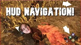 New Player's Guide To the In-Game HUD