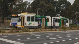 Trams and Buses around Burwood East