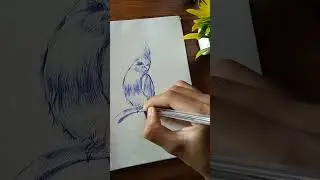 cute bird pen sketch #shorts
