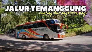 PESONA JALUR TEMANGGUNG🔥. Hunting Bus Pagi Di Jalur Temanggung-Weleri