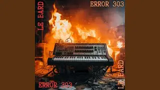 Error 303