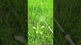 Support the farmers, friend #fouryourpag #trending #viralvideo