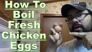 How to boil fresh chicken eggs