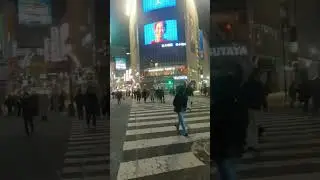 ShibuyaCrossing #reelsvideo #shibuya #nocopyrightmusic