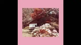 [FREE] ACOUSTIC GUITAR x FRANK OCEAN Type Beat - 