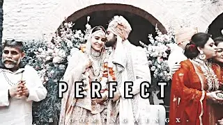 Virat and Anushka • Virushika VM - Perfect