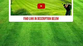 Golf Live Update