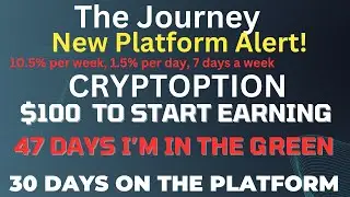 CRYPTOPTION PAYING USDT EVERY DAY LIKE ITS KEWL!