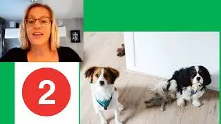 cijfer 2