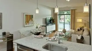 The Orion Condo - 2 Bedroom - Downtown Silver Spring