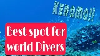 World Best Diving Spot / Kerama Zamami Okinawa/Scuba diving/private island
