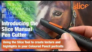 Tips for Using the Slice Tool to Create Highlights and Texture in Your Coloured Pencil Portraits