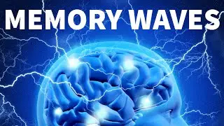 INCREASED MEMORY | Concentration Frequencies | Productivity And Learning | Music For Study