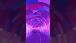 #boulevardwalking #shorts #trending #viral #colorfullights