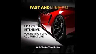 Master Tung Acupuncture Workshops in India
