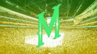 Minnesota wild custom goal horn #3 (The nights)