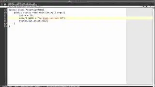 Assertion in Java
