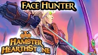 [ Hearthstone S70 ] Face Hunter - Descent of Dragons