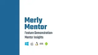 Mentor Insights Demo