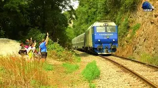 Trenuri de Călători&Marfă/Passenger&Freight Trains in Defileul Crișului Repede Canyon 18 August 2021