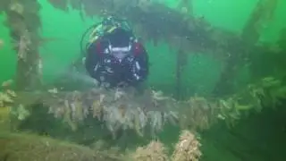 A Dive on the SS Breda July 2017